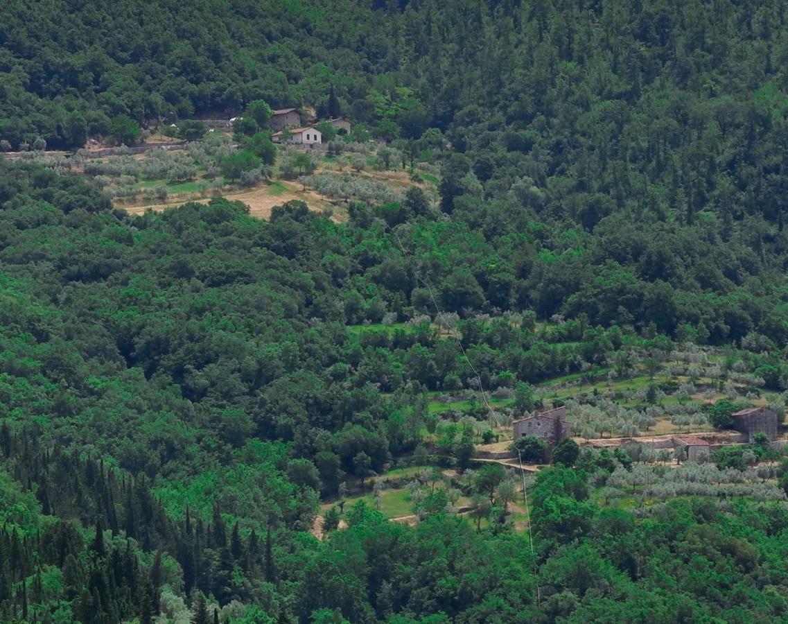 Gualdo  Villa Ancora Tenuta Lonciano מראה חיצוני תמונה